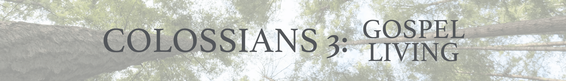 Colossians 3 website header